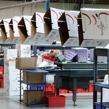 How Printing and Packaging Consultants help to start a career after break?